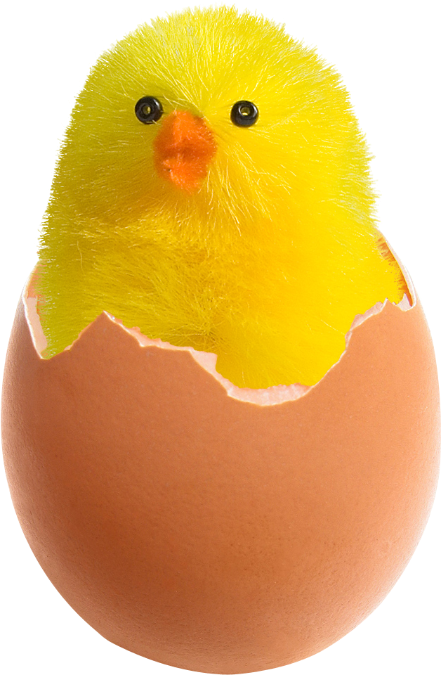 Chicken In Broken Egg Png Image - Chicken In Egg Png (715x1024)