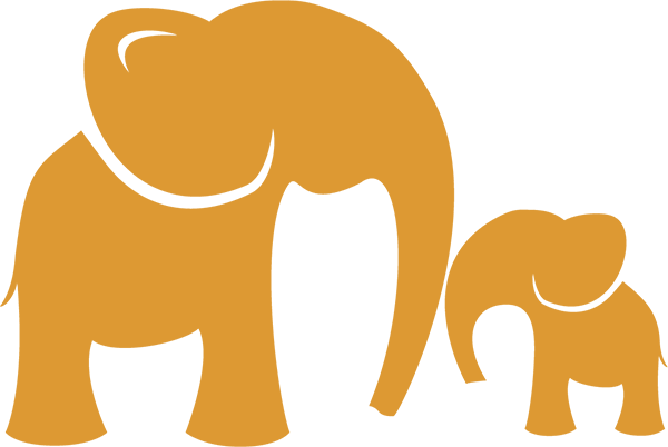 Footebg - Indian Elephant (600x402)