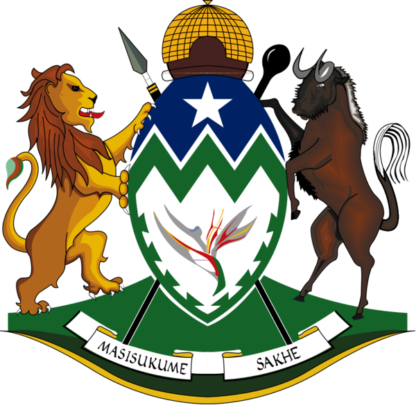 The Province Of Kwazulu-natal - Kwazulu Natal Provincial Logo (600x584)