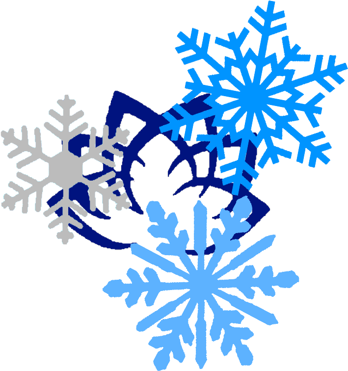 Frost Flower Cutie Mark By Darkbellnight - Mlp Cutie Mark Flower (800x800)