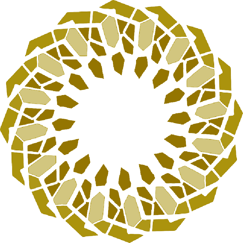 Floral, Flower, Shape, Abstract - Circle (800x800)