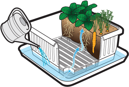 This Is A Healthy, Sustainable Way To Water Your Plants - Nature's Footprint Coconut Coir 650g - Pack Of 5. (460x286)