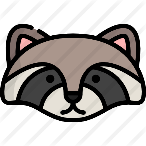 Raccoon - Cartoon (512x512)