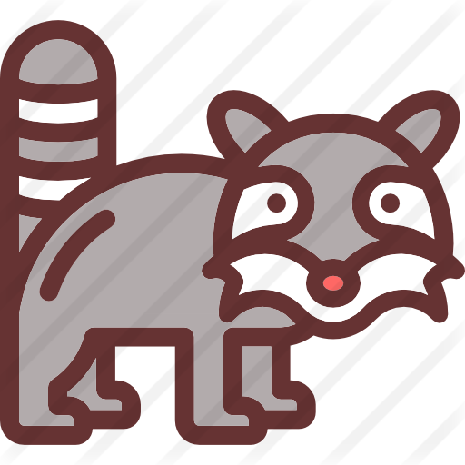 Raccoon - Raccoons (512x512)