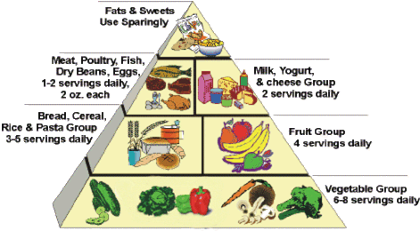 Healthy High Calorie Food (471x260)