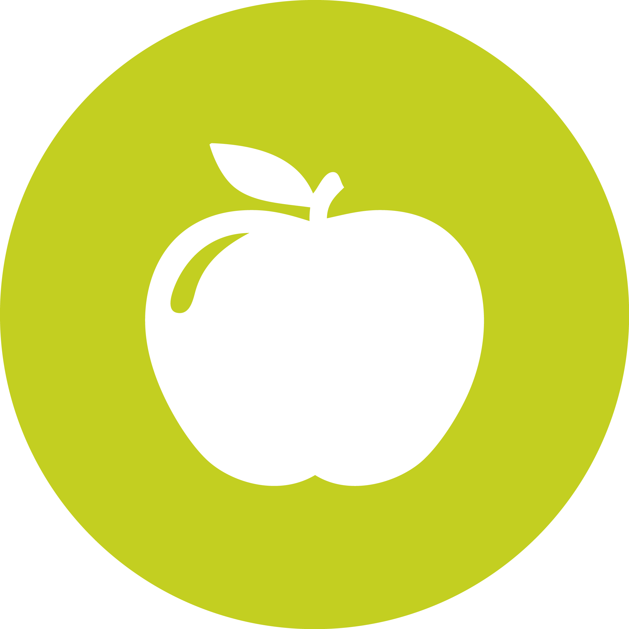 Polo Road Elementary School - Dogecoin Logo (2133x2133)