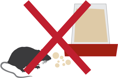 Clean Up Excess Feed That Birds Dont Eat - Clean Up Excess Feed That Birds Dont Eat (429x345)