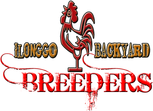 The Ilonggo Backyard Breeders Features Local Backyard - Zombies Eat Brains Throw Blanket (500x373)