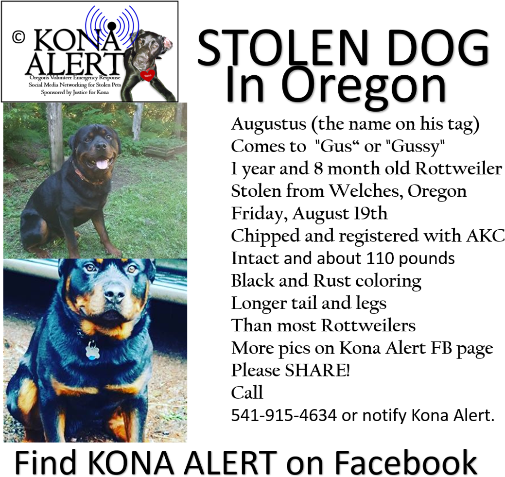 21 Dec - Carlisle College (1181x1035)