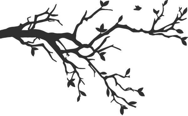 Ct Cideries Are Branching Out - Casal De Passarinhos Na Árvore Para Convite (600x372)