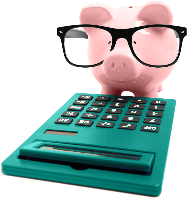 Pig With Glasses And Calculator - Domestic Pig (800x860)