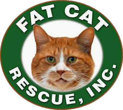Fat Cat Rescue - Organization (422x380)