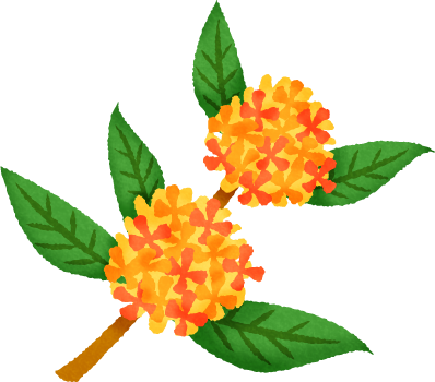 Fragrant Olive - Osmanthus Fragrans Var. Aurantiacus (398x350)