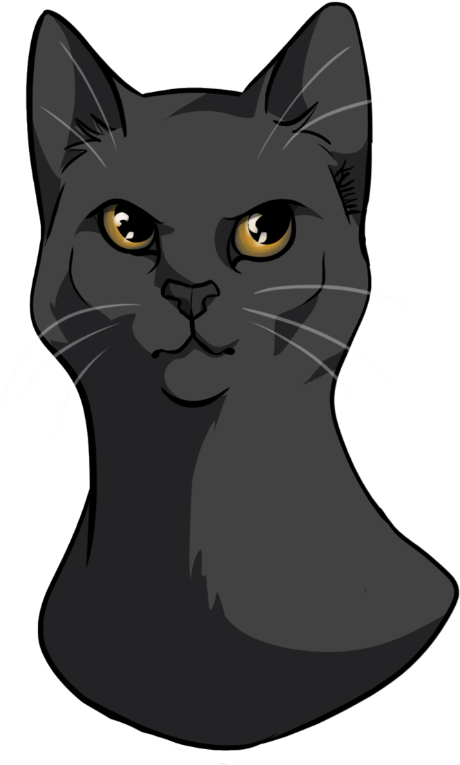 Stormfur Character Sketch By Kuiwi Stormfur Character - Warrior Cats Stormfur (800x1142)