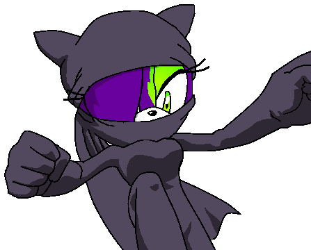 Toxic The Cat Ninja Outfit - Cat (447x360)