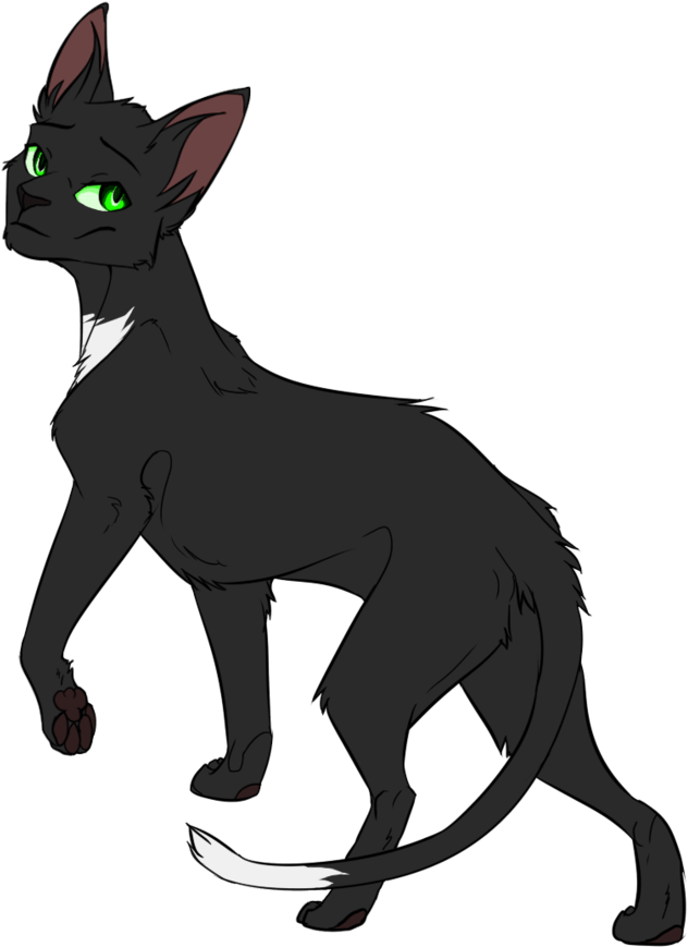 Warrior Cats Thunderclan Medicine Characters Tv Tropes - Warrior Cats Characters Png (800x958)