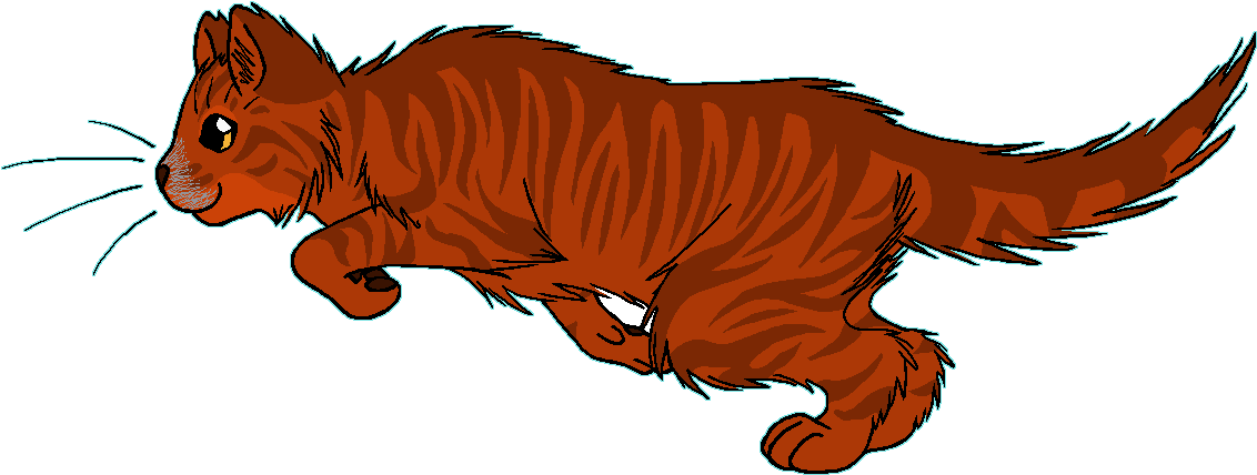 Poppydawn - Warrior Cats Stormcloud (1175x466)