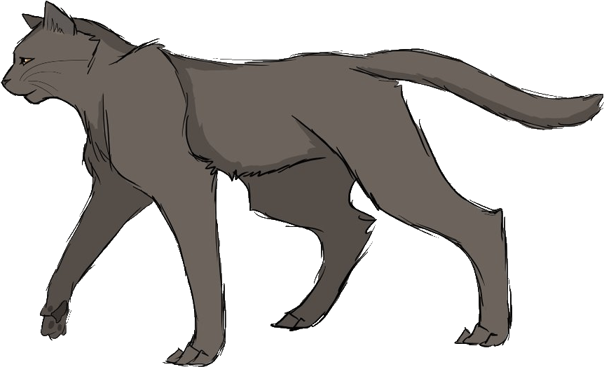 Коты воители грач и сумеречница. Кот сумрак. Коты воители сумрак и сероус. Коты воители сумрак. Коты воители остро кол.