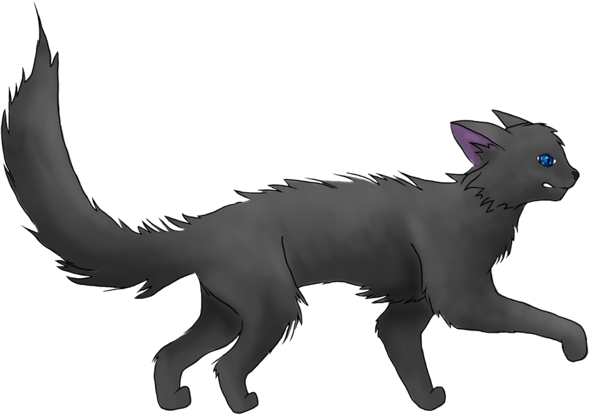 Thunderclan Warrior Cat Wiki Fandom Powered By Wikia - Warrior Cats Nightpelt (900x616)