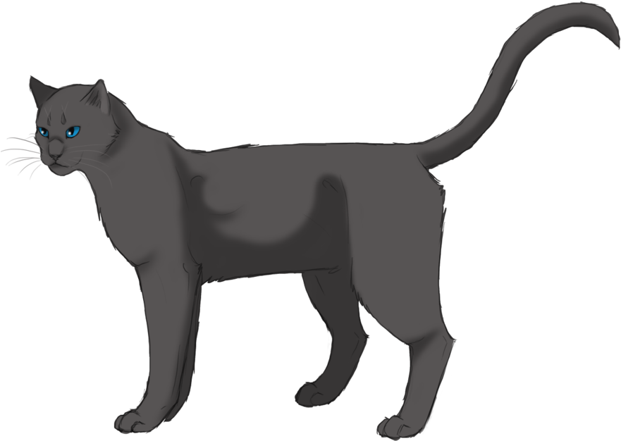 Rainwhisker - Thunderclan - Warrior Cats Rainwhisker (900x674)