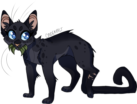 Warrior Cats Cinderpelt Medicine Cat Thunderclan - You Do What You Can For As Long As You Can, And When (500x352)