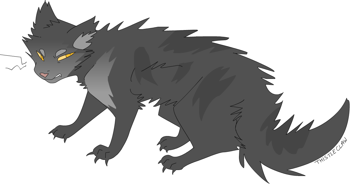 Warrior Cats Thistleclaw Redraw Thunderclan - Warrior Cats Thistleclaw (1173x618)