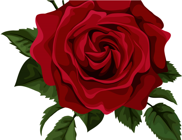 Red Roses Clipart - Rose Transparent (640x480)