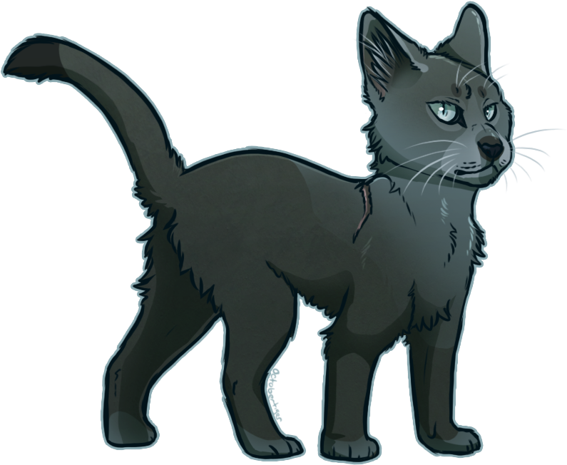 Bluestar Warrior Cats Warriors Thunderclan Thunderclan - Black Cat (798x670)