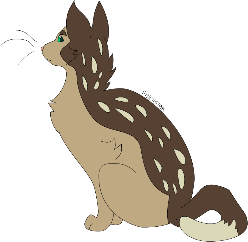 Warrior Cats Finchstar Thunderclan Ukariwarriorcats - Reptile (793x774)