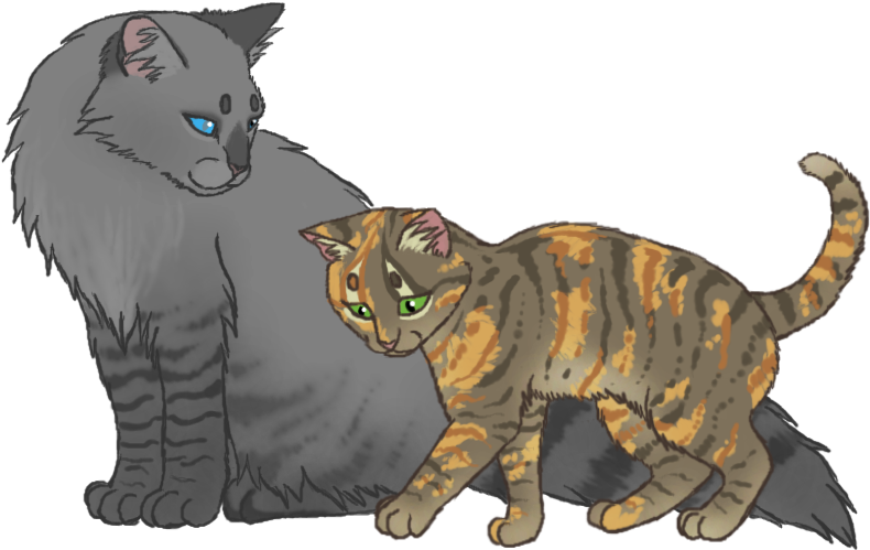 Medicine Cats By Katzen-kind - Domestic Short-haired Cat (800x506)