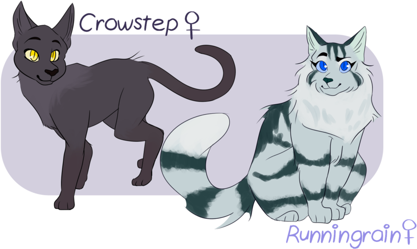 Thunderclan Warriors Download Thunderclan Warriors - Black Cat (1024x576)