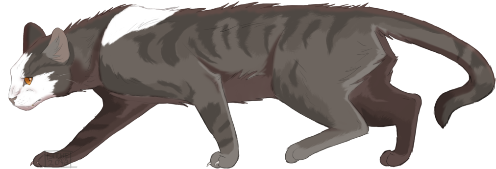 Icewing Warrior Cat Wiki Fandom Powered By Wikia - Warriors (1024x405)
