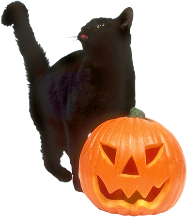 Imágenes Para Photoscape, Photoshop - Lustiges Halloween-kostüm Grußkarte (600x600)