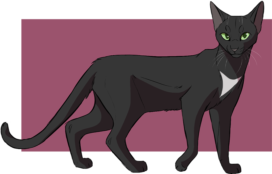 Black Cat By Climbtothestars - Climbtothestars Warriors (974x644)