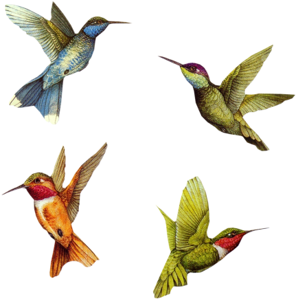 Bonne Semaine Gif Animé (436x446)