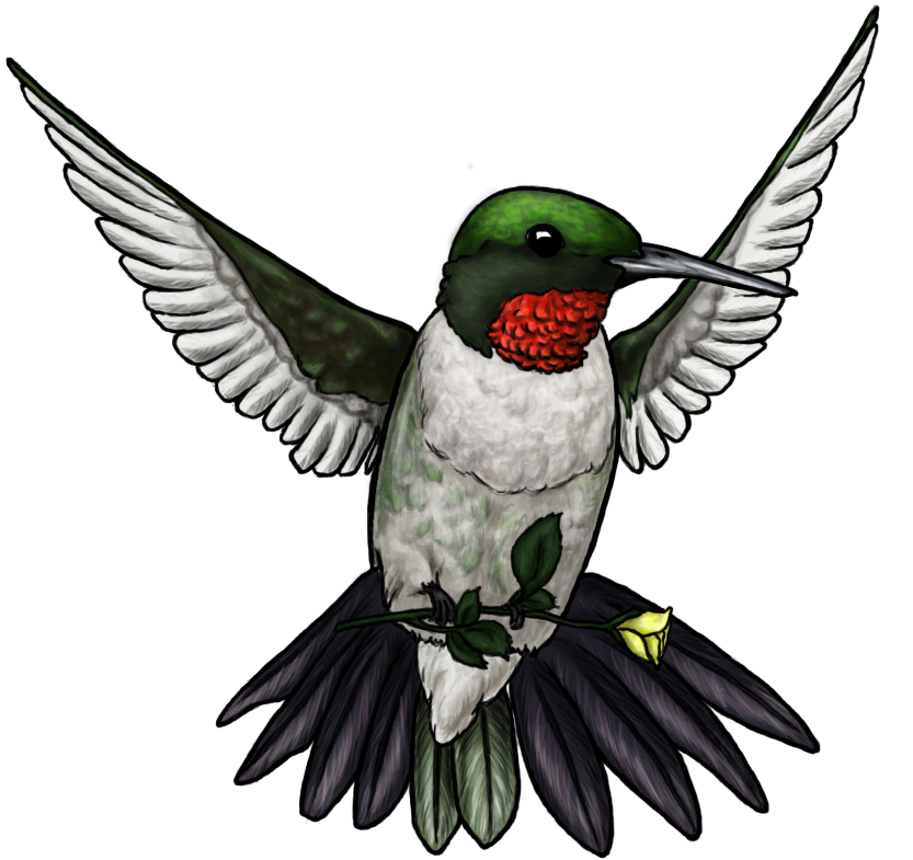 "цветные Татуировки Птиц" Collection Of User Алексей - Free Picture Of Tattoos (858x822)