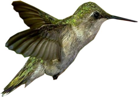 Tubes Printemps - Vintage Hummingbird Cabochon Tibetan Silver Glass Chain (487x487)