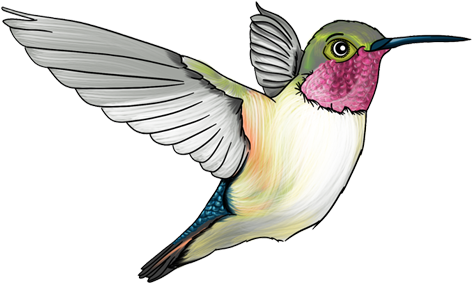 Cartoon Style Books - Ruby-throated Hummingbird (540x419)