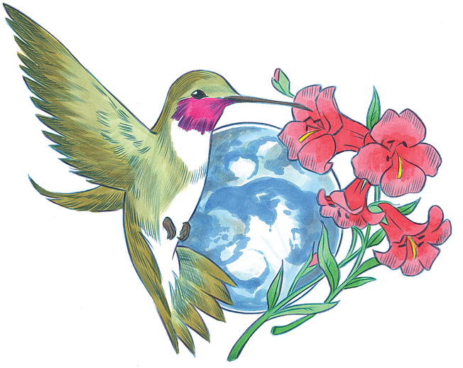 Ruby-throated Hummingbird (662x532)