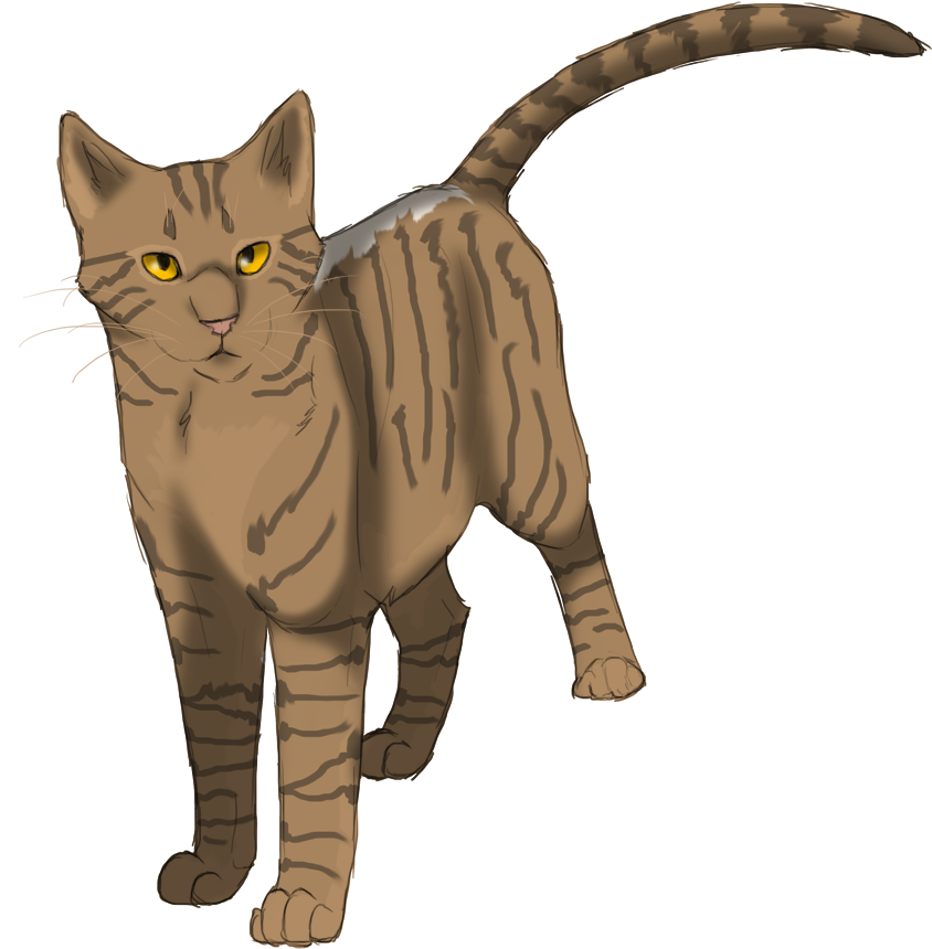 Lightningpelt By Lithestep On Deviantart - Lithestep Warrior Cats (870x894)