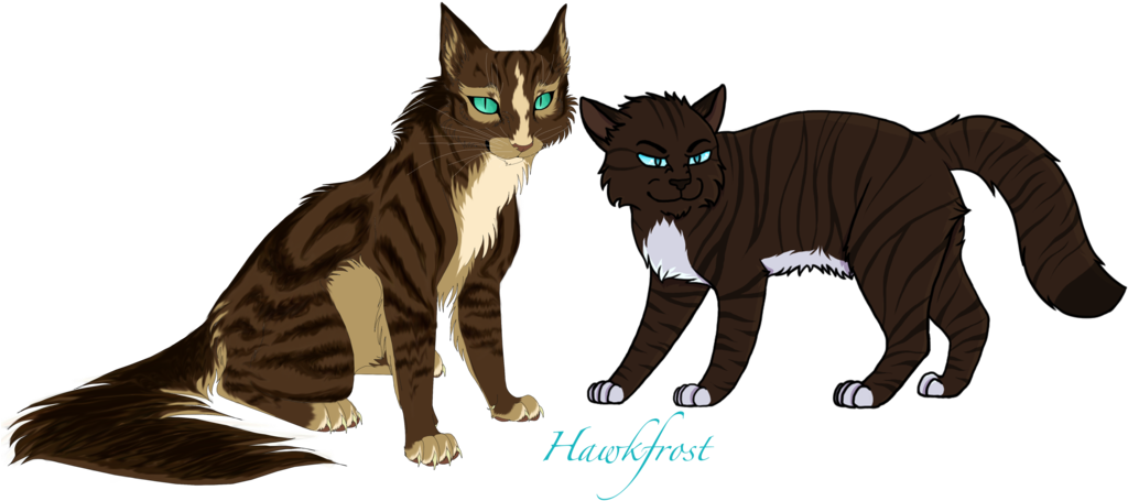All Warrior Cats Challenge - Warrior Cats Hawkfrost Fanart (1024x484)