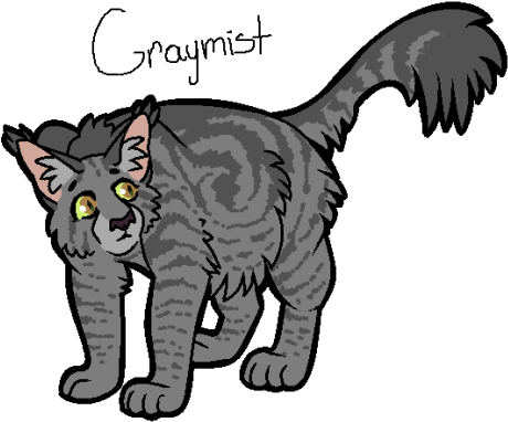 21 Nov 2016 / - Birch Kit Warrior Cats (500x451)