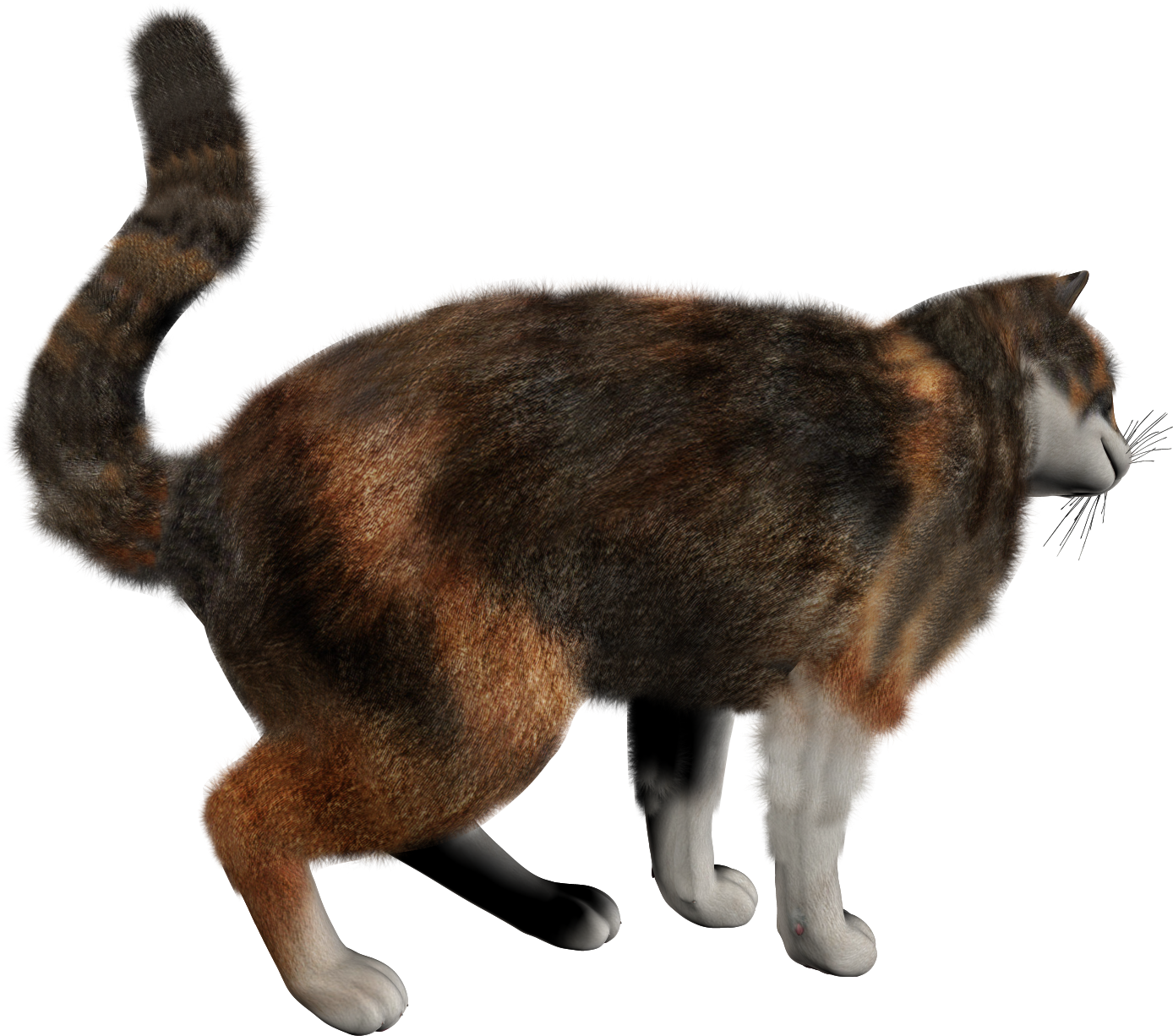 View & - Кошка Шаблон Пнг (1490x1520)