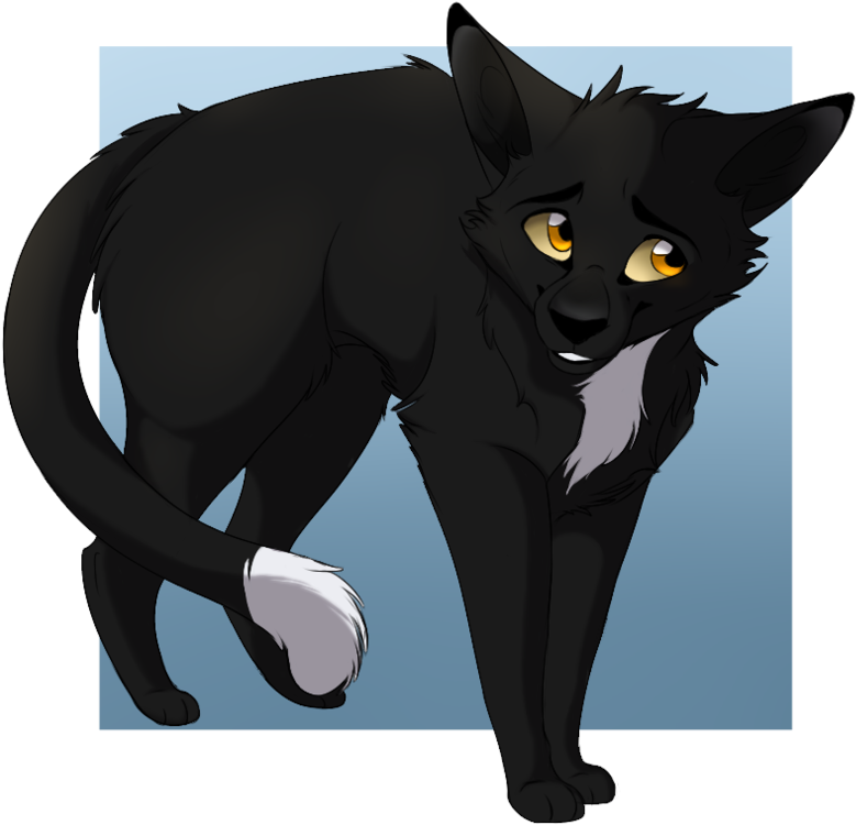 Ravenpaw By Nightflash-x - Ravenpaw Warriors (1009x791)