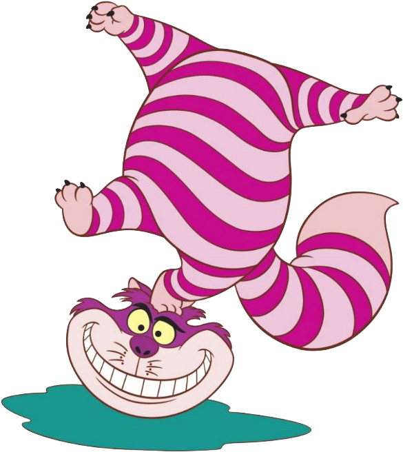 Cheshire Cat Clipart Head - Kongpao Chesser Cat Doormats / Entrance Rug Floor Mats (602x687)