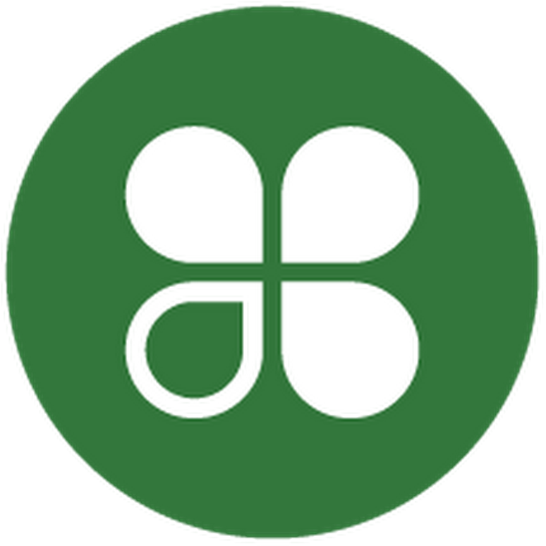 Nycs Bull Trans 6 (900x900)