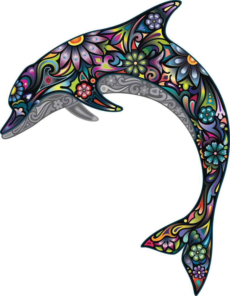 Dolphin Wall Decal Illustration - Dolphin Wall Decal Illustration (778x1000)