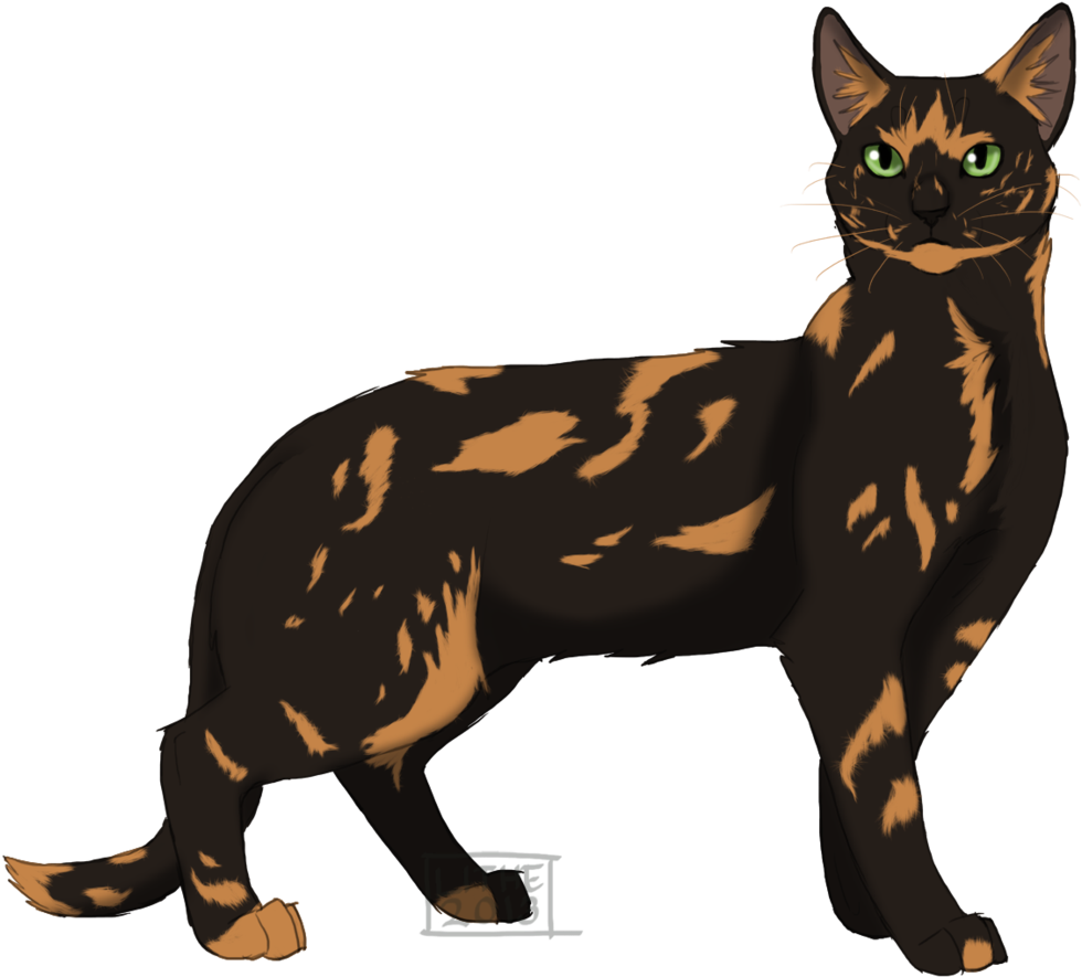 Turtle Tail By Lithestep - Grey Wing And Turtle Tail (1024x932)