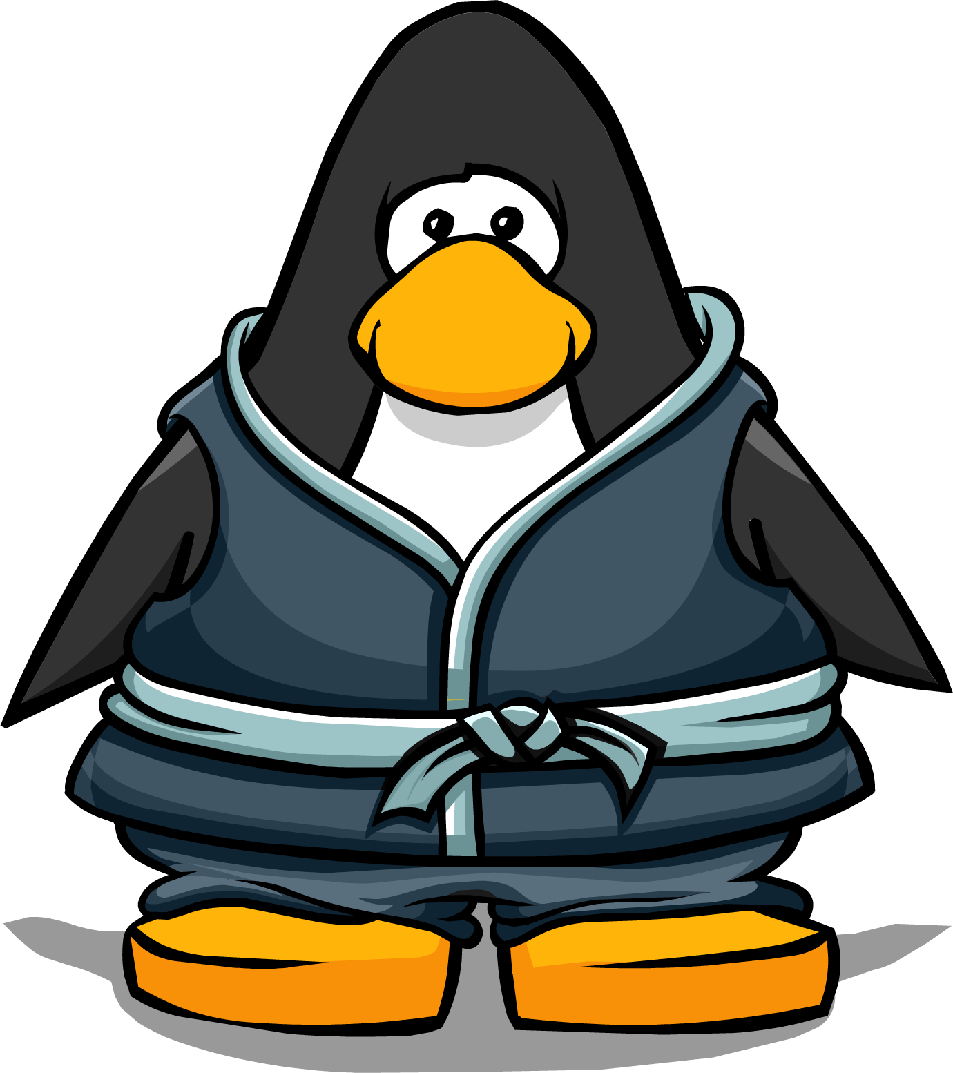 Crashing Wave Gi Pc - Club Penguin With Camera (1380x1554)