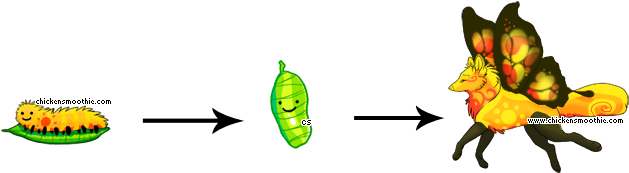 When You Adopt Them, They Begin Life As A Little Caterpillar - Caterpillar Turn Into Butterfly (650x200)